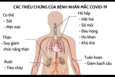 Phân biệt triệu chứng COVID-19 và bệnh cảm lạnh, cảm cúm thông thường